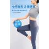 Mini 25cm Anti Burst Pilates Yoga Ball For Women Fitness Equipment