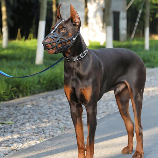 Дизайн пряжки для морды собаки Инновационный Износостойкий Прочный Устойчивый к разрыву Защита от укуса Полая защита от лая домашних животных