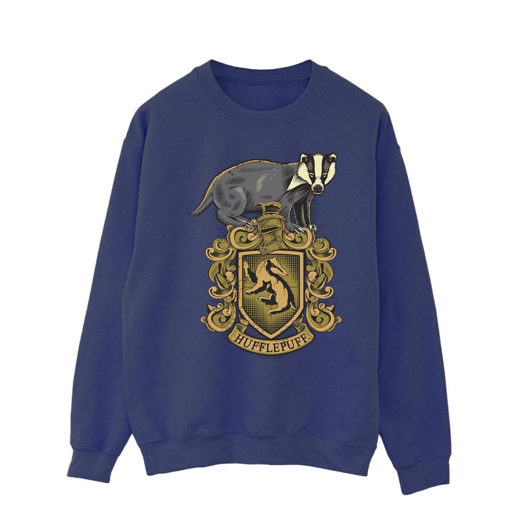 Harry Potter Mens Hufflepuff Sketch Crest Sweatshirt