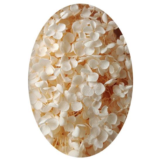 1 коробка, головки сушеных цветов, цветные, изысканные, 21 стиль, отличные привлекательные цветы гортензии, домашний декор