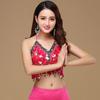 Women Dance Wear Nightclub Tassel Belly Dance Bra Halter Bra Show Costumes Performance Top