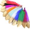 10/50pcs Gold White Goose Feathers Dyed Colorful Natural Gooset Plumes 15-20CM Costume Party Decor Feathers for Craft