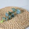Artificial Eucalyptus Leaf For Wedding Decor With Silk Material For Home And Photography Use