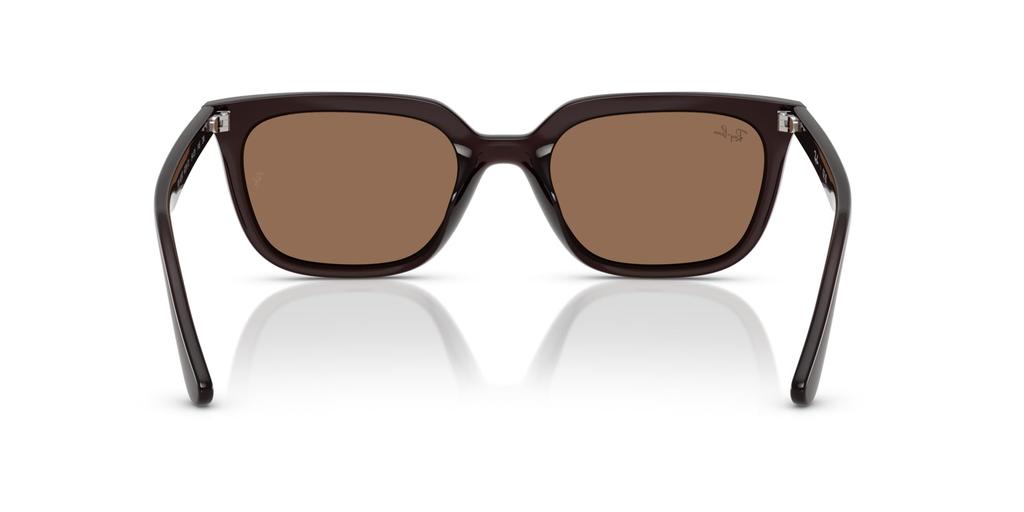 Солнцезащитные очки 0RB4439D OPAL BROWN 54 [Ray-Ban]