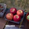 WeeHike Ультралегкий Портативный Складной Многоцелевой Набор Посуды для Отдыха на Природе: Миска, Тарелка, Воронка для Кофейного Фильтра, Кружка для Воды для Кемпинга