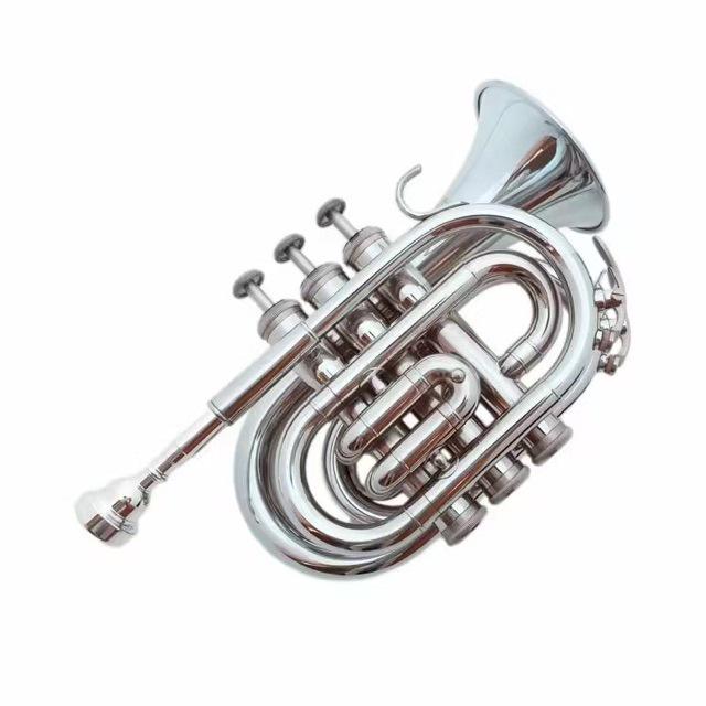 Compact B-flat Pocket Trumpet for Beginners - Mini Brass Instrument
