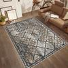 Washable Printed Carpet RVGHOME0527