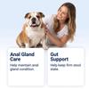 Changhu Nutrition Dog Chewing Tablets: Perianal Care and Intestinal Care with Probiotics, Pet Health Supplements