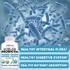 60 Billion Probiotic with Prebiotic Blend, USDA Organic 120 Capsules Digestive Health Supplement