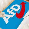 Political AfD Logo Door Mat Nordic Style Bedroom Living Room Doormat Home Balcony Anti-Slip Alfombra