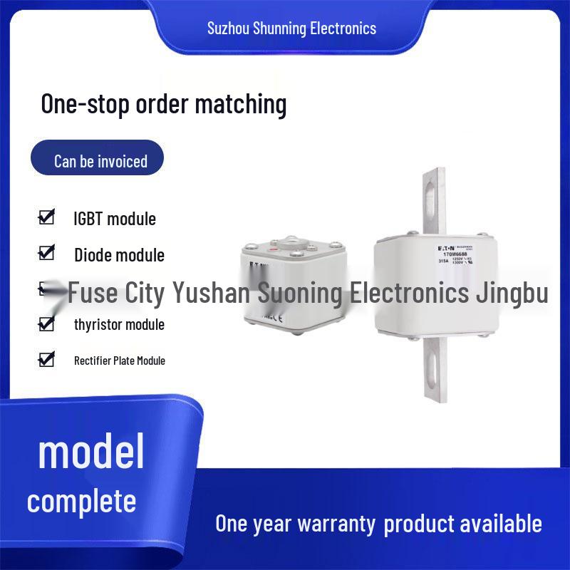 170M6696, 170M6697, 170M6698 Fuses - All New Original Models