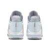 Nike Мужские кроссовки LeBron Witness 6 EP Pure Platinum серые университетские-красные белые DC8994-003