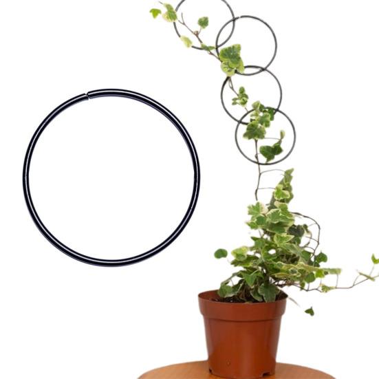 18 шт., цепная решетка, аксессуары для комнатных и уличных растений, монстера, лоза, плющ, вьющаяся решетка, съемное растение