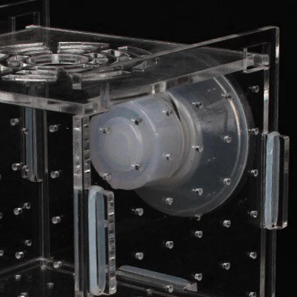 Aquarium Fish Breeder Box Square Suction Cup Hatching Incubator Box for Aggressive Fish Baby Prawn Shrimp Clownfish Newborn Fry