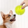 Squeaky Dog Chewing Sound Ball Toy Safe Teeth Cleaning Interactive Puppy Chew Toy Balls Dog Training Toys Pet Supplies for Boredom Relief Dental Care