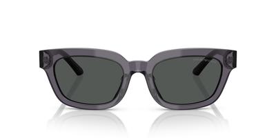 Солнцезащитные очки 0EA4233U ПРОЗРАЧНО-СЕРЫЙ 53 [Emporio Armani]