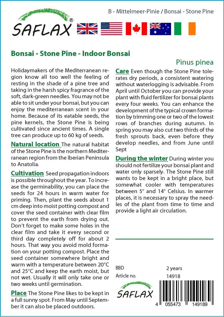 SAFLAX Garden in the Bag - Бонсай - Кедровая сосна - 6 семян - С субстратом в подходящем мешке-стойке - Pinus pinea