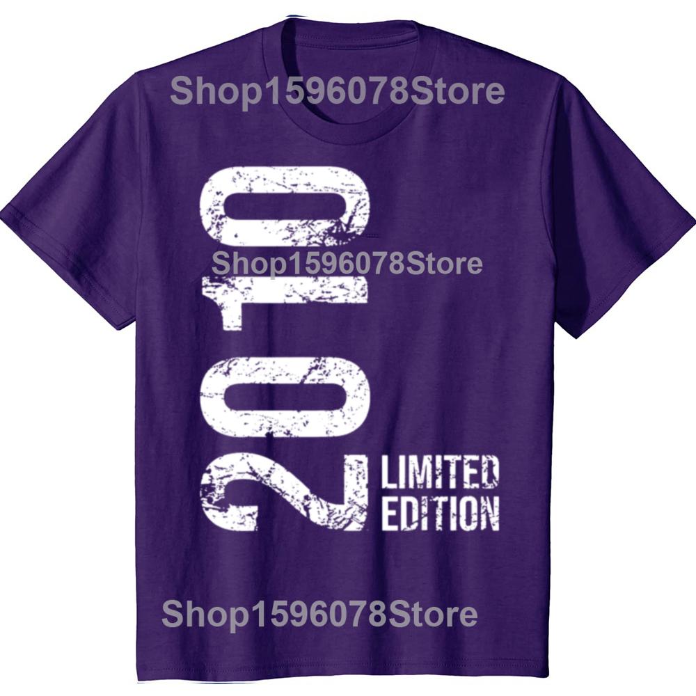 13-й День рождения 13 лет Мальчик Девочка Ретро Винтаж 2010 Футболки Летняя Графическая Уличная одежда Брат Сестра Подарки на День рождения Футболка Мужская