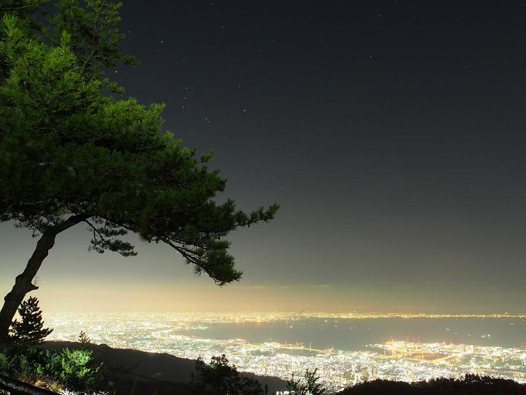 OM Single Focus Lens DIGITAL ED 12mm Silver SYSTEM/OLYMPUS M.ZUIKO F2.0