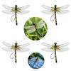 Lifelike Simulation Dragonfly Insect Model 3D Dragonfly Garden cor  Outdoor Hanging Ornament
