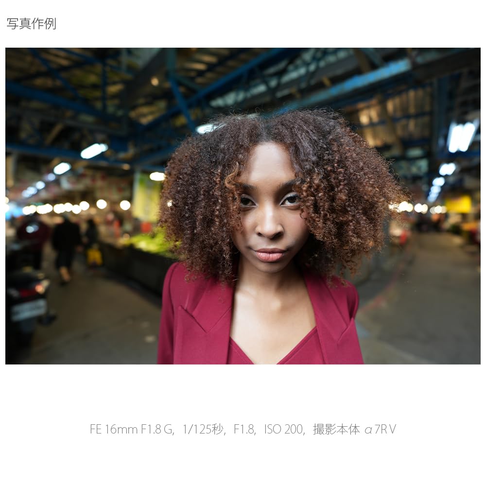 Sony SEL16F18G Prime FE 16mm G Genuine Lens for Digital SLR Cameras Wide-Angle Lens, F1.8 Lens, Full-Frame [E-Mount]