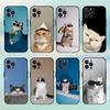 Крутой Кот Милый Чехол Для Телефона Для iPhone17,16,15,14,13,12,Plus,Pro Max, 5G Другие Мягкий Черный Чехол