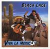 7-дюймовая пластинка BLACK LACE - Viva La Mexico LACE4 Flair Records 1986 UK Поп Б/У