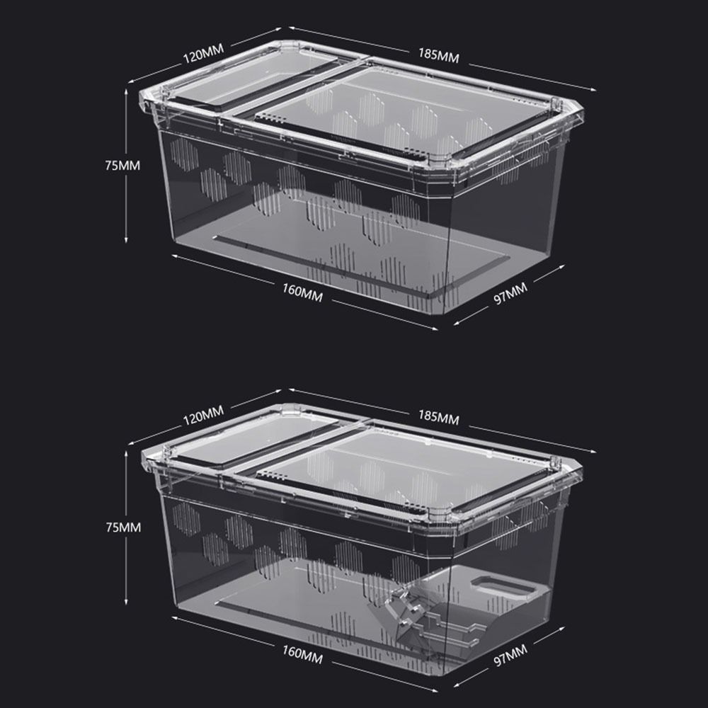 Transparent Reptile Tank Plastic Reptile Transport Container Reptile Pet Supplies