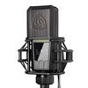 LEWITT LCT 540 S 1-inch Diaphragm Condenser Microphone, Unidirectional