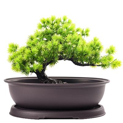 Цветочные горшки Пластик Имитация Фиолетовой Глины Горшки для Суккулентов Садовый Ландшафт Горшок для Бонсай Поддоны Прямоугольная Квадратная Кашпо