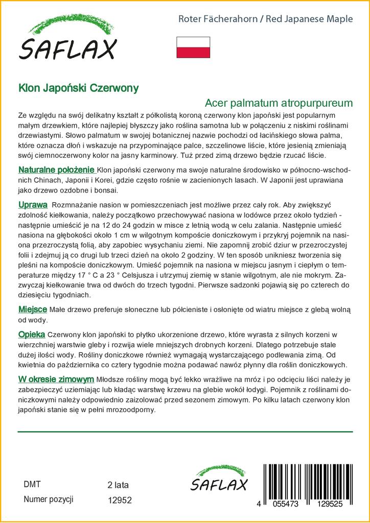 SAFLAX Клен японский красный - 20 семян - Acer palmatum