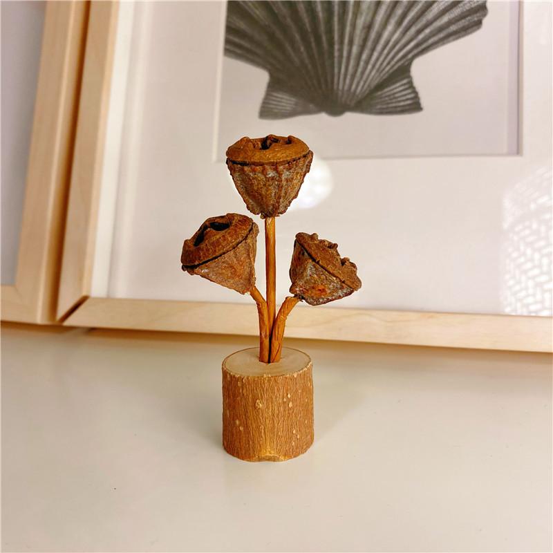 Forest style pine cone desktop decoration Wabi Sabi style pure handmade DIY