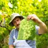 50Pcs Grapes Fruit Protection Bags Garden Mesh Bags Agricultural Orchard Pest Control Anti-Bird Netting Vegetable Bags
