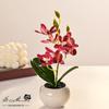 Искусственные орхидеи бонсай с вазой, яркая композиция из орхидей фаленопсис в горшке для декора дома, офиса, центральный элемент стола, украшения для дома