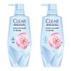 Шампунь для очищения кожи головы против перхоти и излишней жирности