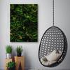 Canvas print, Exotic green leaves