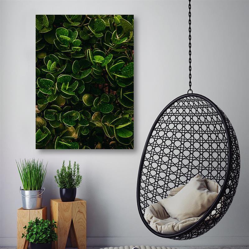 Canvas print, Exotic green leaves