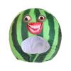 Funny Watermelon Cross-dressing Headwear Hat Plush Fruit Headgear Cartoon Decorative Selfie Props Cosplay Costume Accessories Performance Props