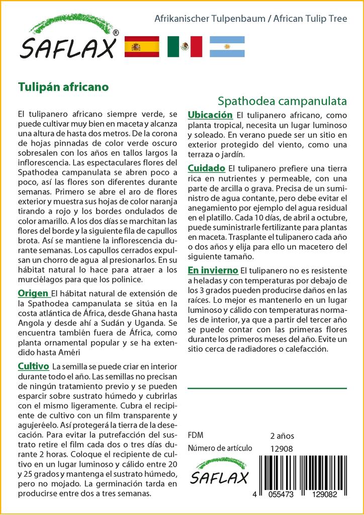 SAFLAX Африканское тюльпановое дерево - 30 семян - С горшечным субстратом для лучшего выращивания - Spathodea Campanulata