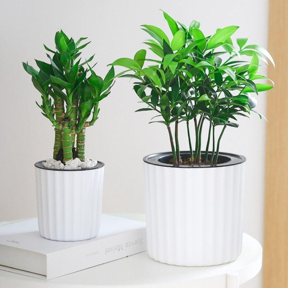 Однотонный самополивающийся цветочный горшок Домашнее украшение Садовые принадлежности Ленивый влагопоглощающий цветочный горшок Пластиковый мини-горшок для растений