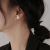 Edition Flash Diamond Earrings Trendy Student Popular Elements Design Sense Three-Dimensional Star Stud Earrings Female