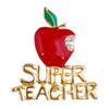New Red Super Teacher Xmas Gift Unisex With Crystal Brooch Pin Show Your Love KTJ