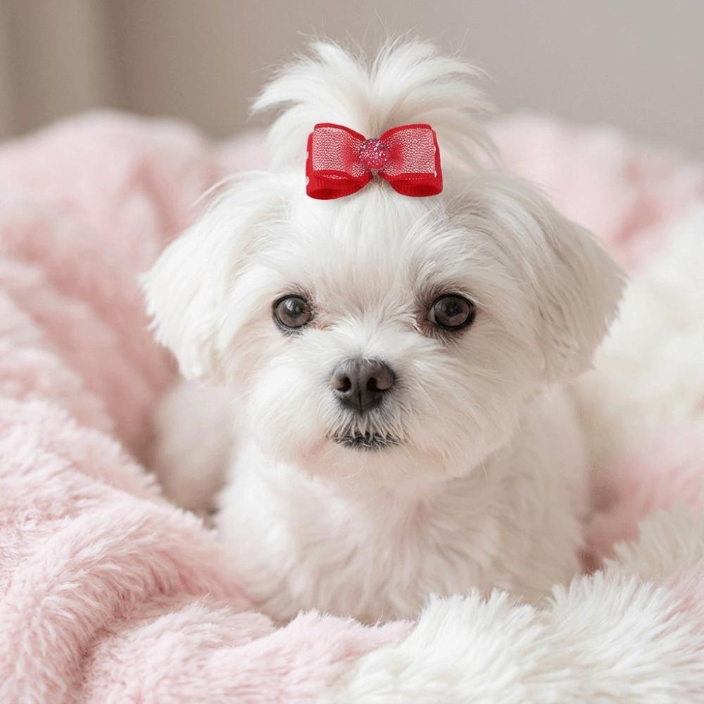30pcs Elastic Stretch Band Dog Bow Hair Tie Inlaid Rhinestone Ribbon Hair Band Party Cosplay