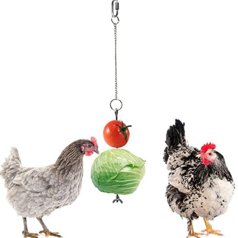 Rust-proof Chicken Veggies Skewer Adjustable Length Bird Feeder for Cage Birds
