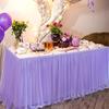 Tulle Table Skirt for Rectangular Tables 4/6/9ft Wrinkle Free Table Cloth with Tutu Skirt Reusable Tablecloth for Birthday Party Banquet Cake Table