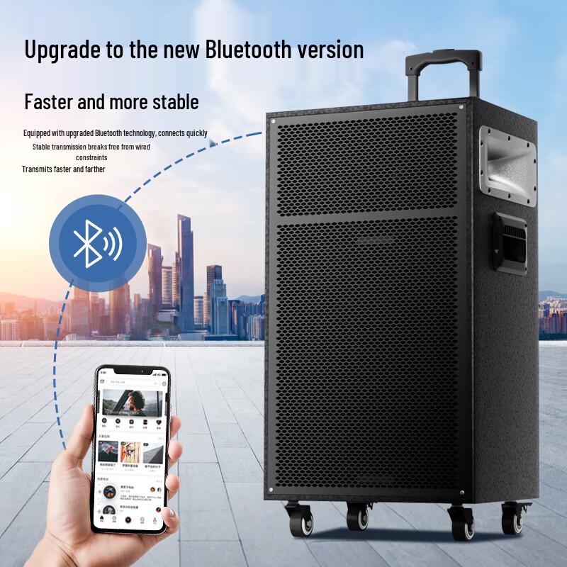 Портативная уличная Bluetooth-колонка Newsmy N550 12 дюймов с двумя микрофонами (Китайская версия)