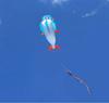 Large Soft Kite Easy To Fly In The Breeze For Adults And Children 3D High Grade New Dolphin Soft Kite