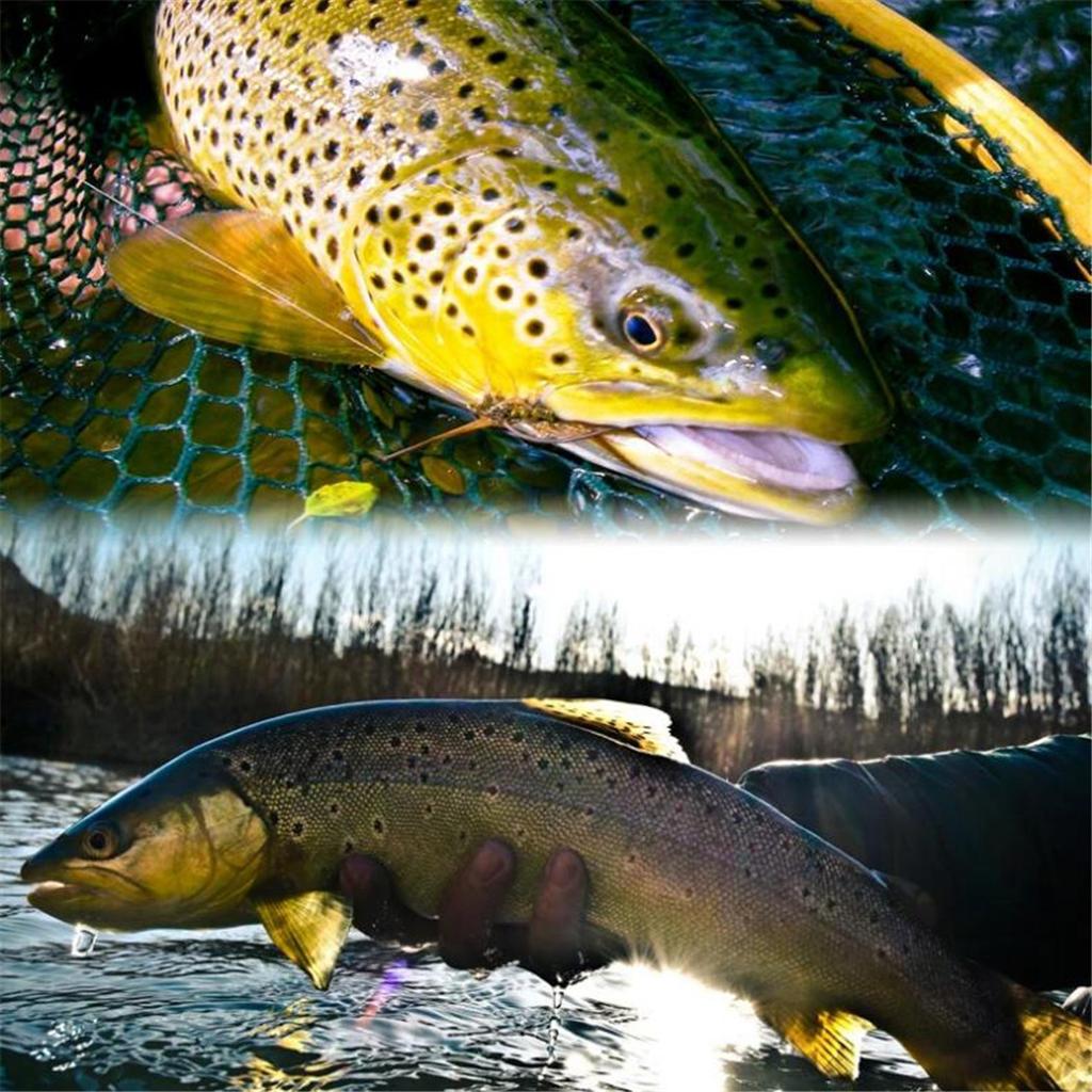 5/10/20/25Pcs/Box Black Fly Peacock Feather Wings Fly Fishing for Trout Bait Size #10 Flies Artificial Insect Bait Lure