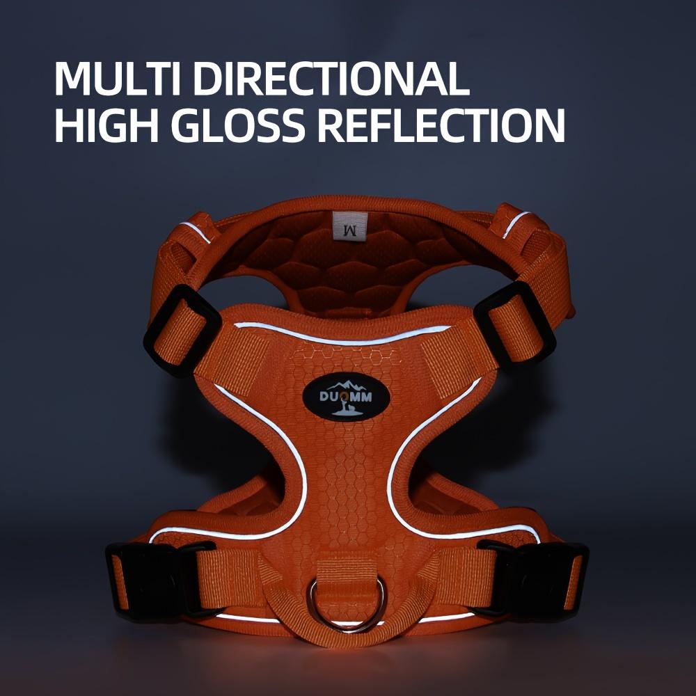 Регулируемая и взрывобезопасная шлейка и поводок для собак для безопасного и веселого отдыха на свежем воздухе с вашим питомцем #King's day