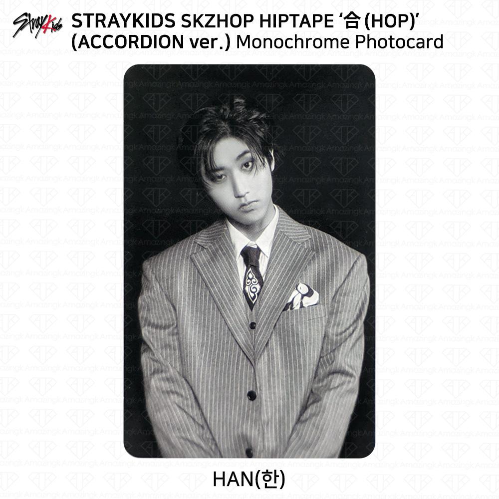 Stray Kids SKZHOP HIPTAPE HOP Аккордеон Официальная фотокарточка Unit Monochrome